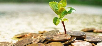 أحكام الزكاة في الإسلام بصورة مبسطة