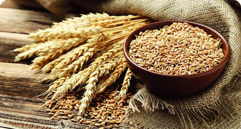 أخرج زكاة الفطر في الإمارات مع أي خير